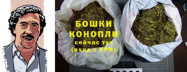 мдпв Дмитровск
