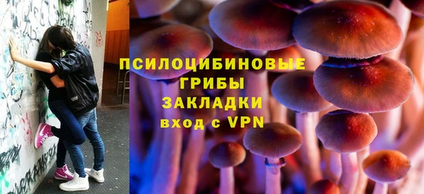 ГАЛЛЮЦИНОГЕННЫЕ ГРИБЫ Гусиноозёрск