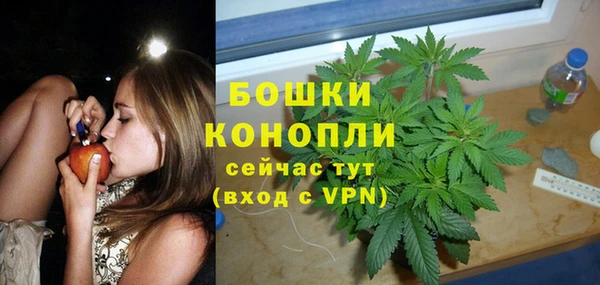 Альфа ПВП Дмитриев