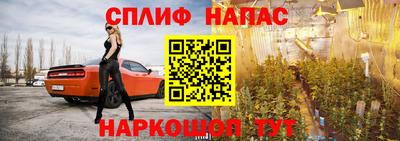 СК Донской