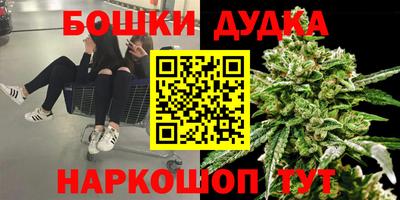 СК Донской