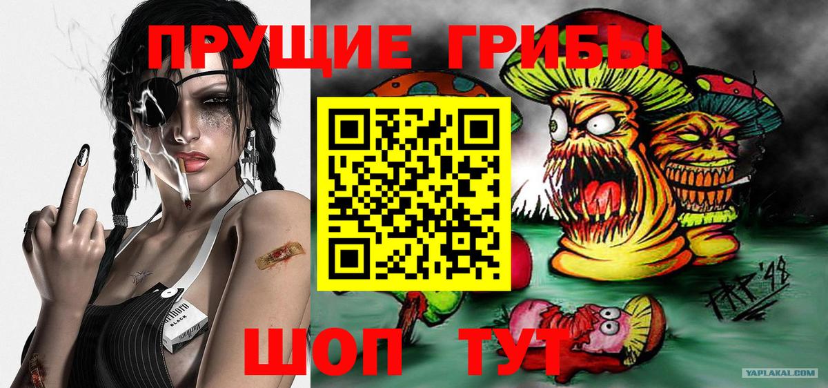 Мценск  Псилоцибиновые грибы мицелий  Вход с VPN  Псилоцибиновые грибы Magic Shrooms 