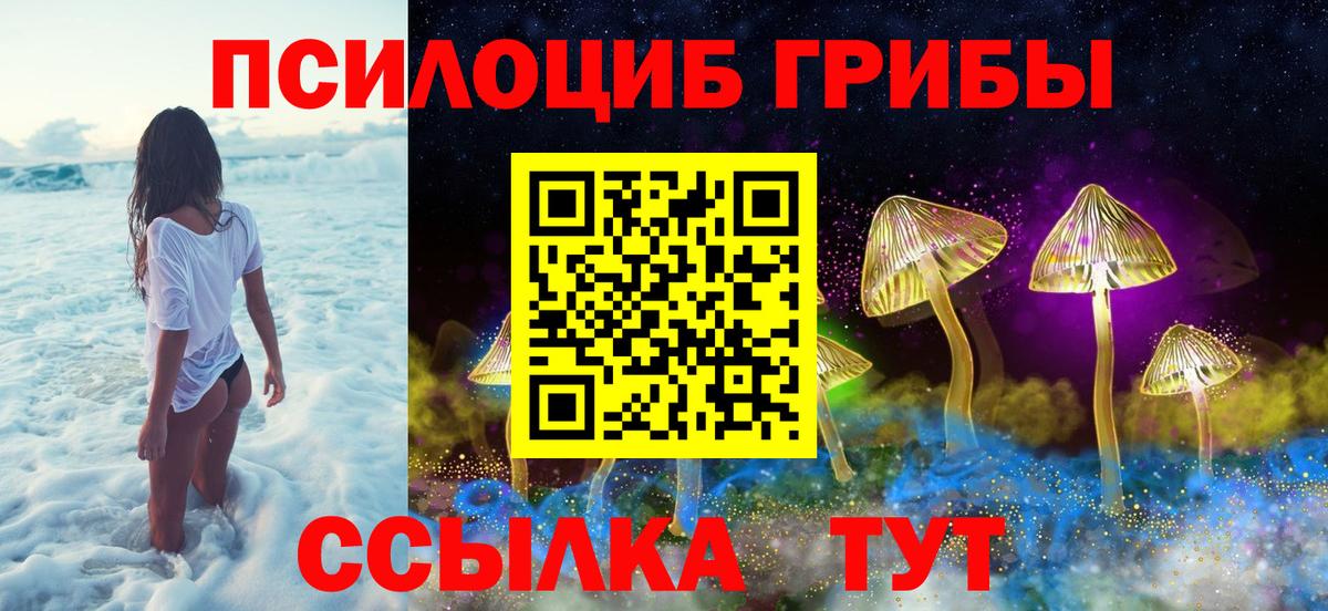 Псилоцибиновые грибы GOLDEN TEACHER Мценск